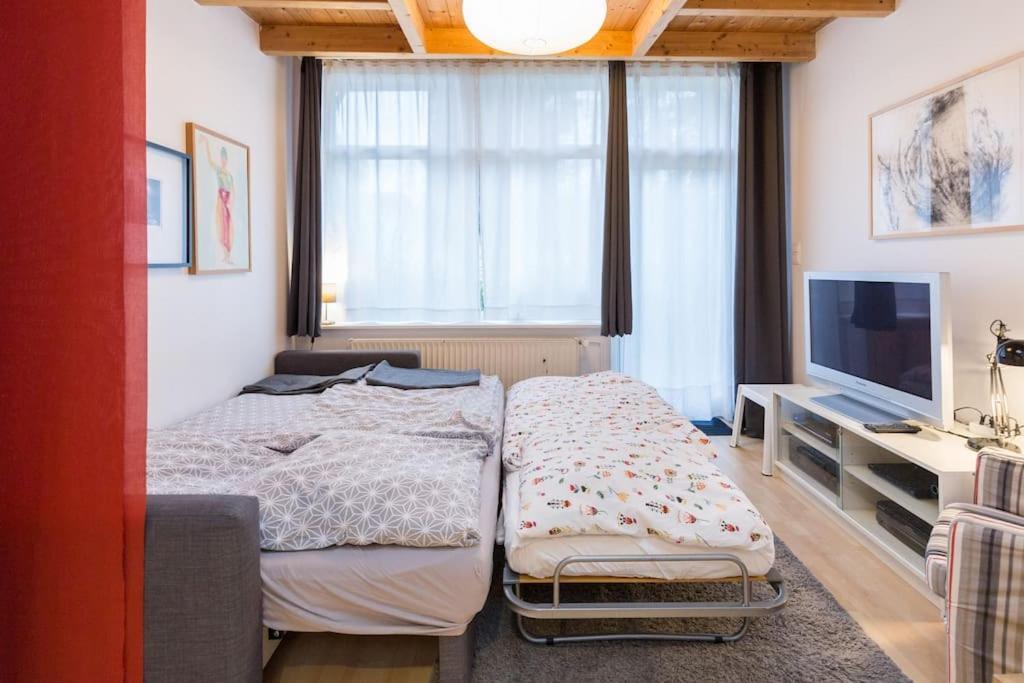 Apartment Wilhelmstr Fuer Bis Zu 3 Personen Brühl Exteriér fotografie