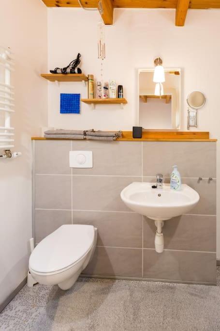 Apartment Wilhelmstr Fuer Bis Zu 3 Personen Brühl Exteriér fotografie